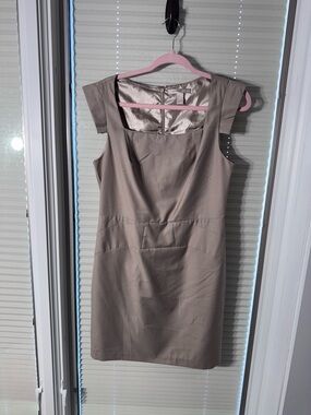 Forever 21 Satin Taupe Dress with Blush Velvet Trim